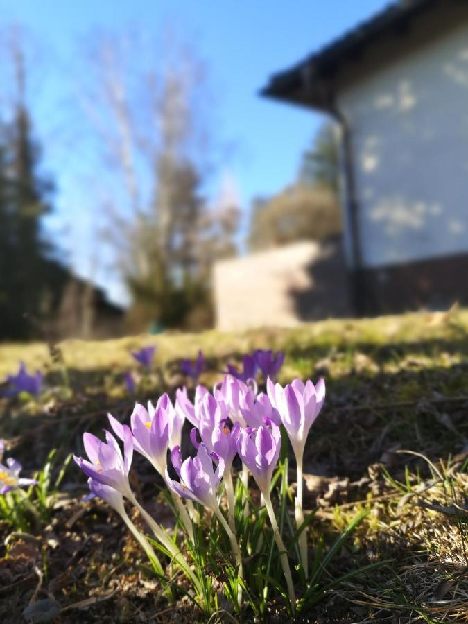 Haus Zur Lachenden Lieselotte I 5 Minuten Zu Fuss Zum Kostenlosen Naturbad I Messenaehe I Waldnaehe Villa Postbauer-Heng Bagian luar foto