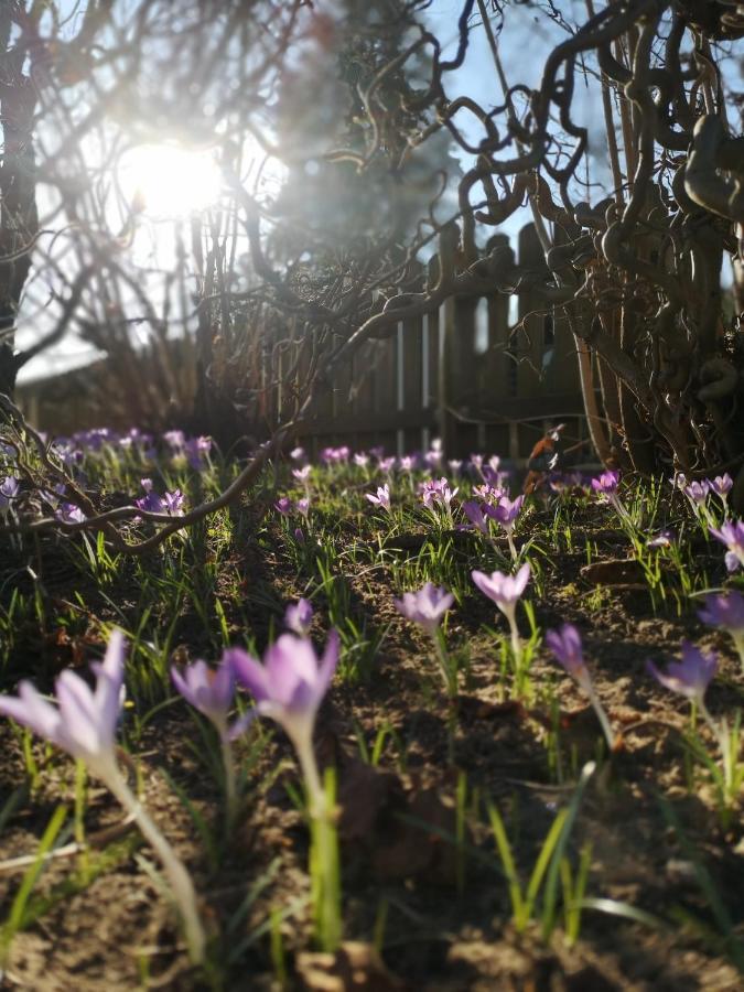 Haus Zur Lachenden Lieselotte I 5 Minuten Zu Fuss Zum Kostenlosen Naturbad I Messenaehe I Waldnaehe Villa Postbauer-Heng Bagian luar foto